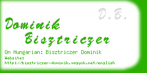 dominik bisztriczer business card